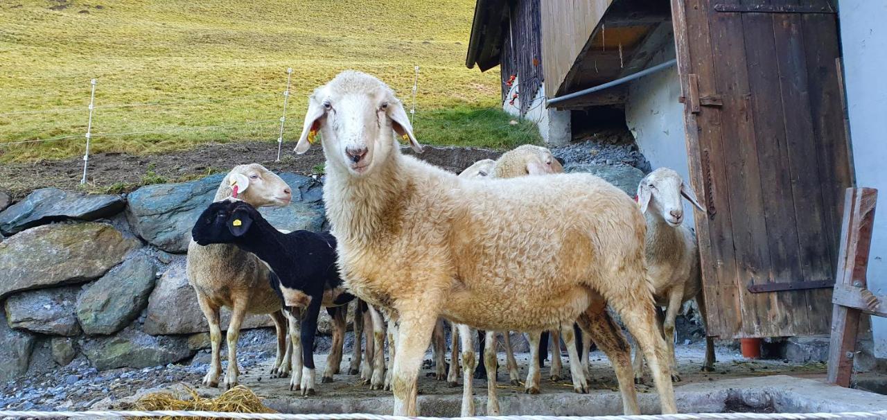 Hinterreithlehen - Ferienwohnung Am Bauernhof Mittersill Bagian luar foto