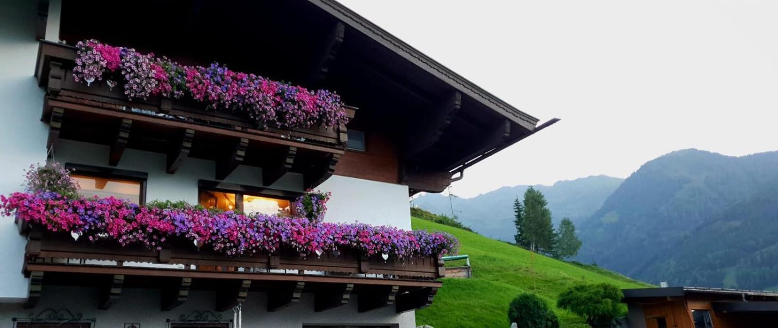 Hinterreithlehen - Ferienwohnung Am Bauernhof Mittersill Bagian luar foto